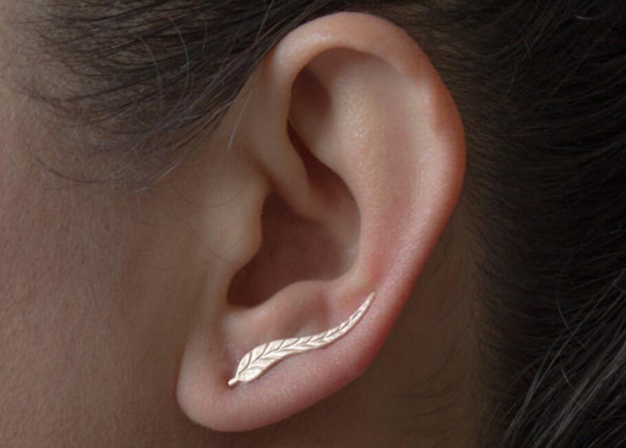 Fashion Leaf Earrings for Women